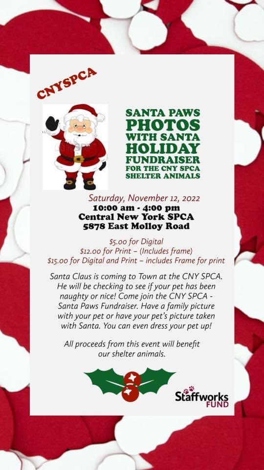Central New York SPCA tweet media