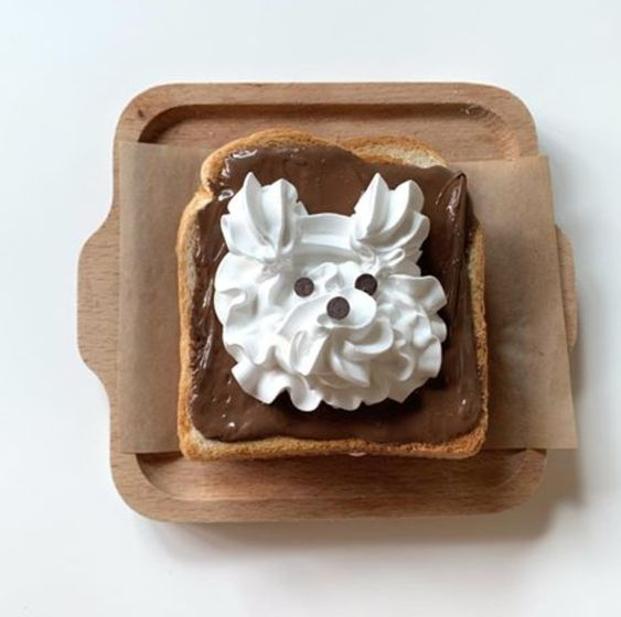 Dolce (@daily_dolce) on Twitter photo 