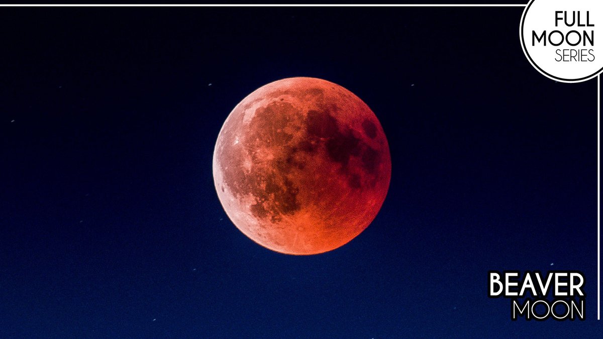 csa_asc's tweet photo. All eyes on the Moon! Look up at the sky to see the Beaver Moon tonight. 

If you set your morning alarm super early, you can also catch the lunar eclipse from across Canada in the early hours of November 8! #FullMoonSeries https://t.co/mVS8ndATTo