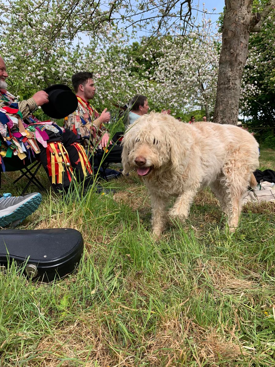 HelierMM's tweet image. I know you've heard it all before but we really do need new recruits, ladies and men...desperately! Please come along this evening to Trinity Youth Centre 8 - 10pm and have a go. No experience needed just a bit of enthusiasm. Sorry, no dogs but I couldn't resist!