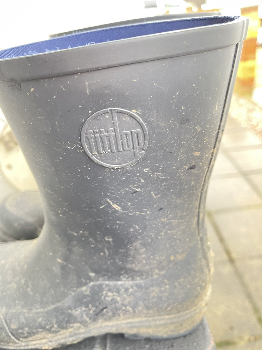 Feebz11's tweet photo. @FitFlopHQ I expected my £75 WonderWellies to last more than 8 weeks of occasional use! Bought from another retailer in their sale but I want replacement boots please. These are unfit for purpose https://t.co/RWRsy4e0Wu