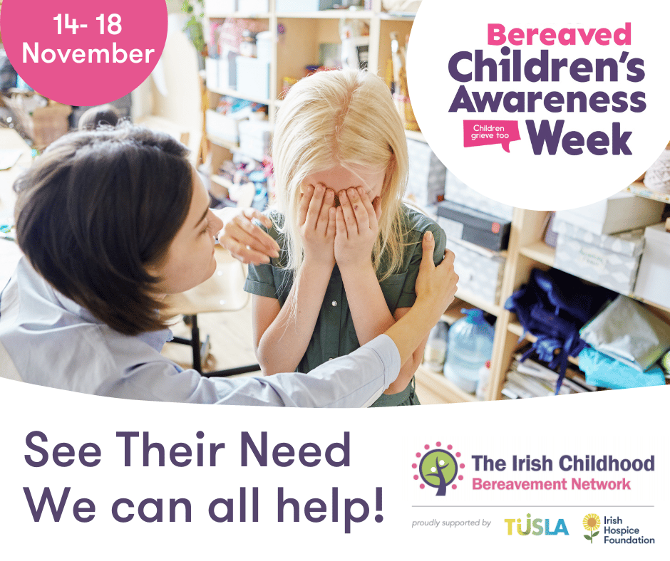 In the lead-up to Bereaved Children’s Awareness Week 2022, the @ICBNIrl will host an array of online webinars targeted at the public and professionals. Click here for a complete listing of online webinars and to register childhoodbereavement.ie/bereaved-child… #SeeTheirNeed