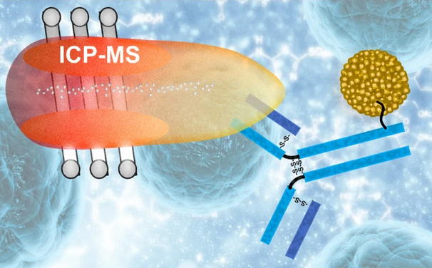 AnalBioanalChem's tweet photo. Facets of ICP-MS and their potential in the medical sciences—Part 2: #nanomedicine #immunochemistry mass #cytometry and bioassays
by David Clases and Raquel Gonzalez de Vega @unigraz
 @clases_david @RachelDevega #spectrometry #nanotechnology

#OpenAccess 
https://t.co/ZvQhQ9Epff https://t.co/Yl2OmUo0bQ