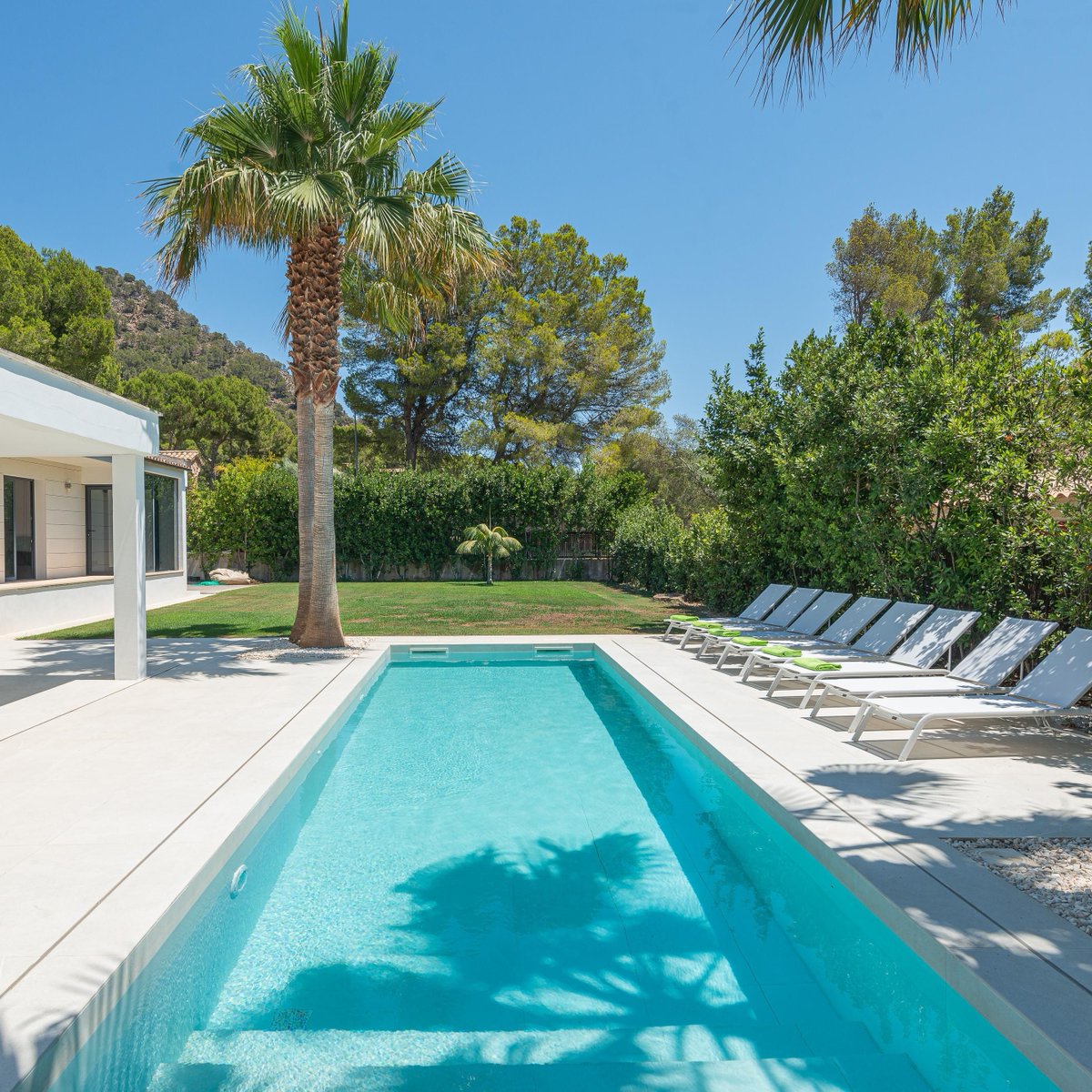 Plum Guide tweet media