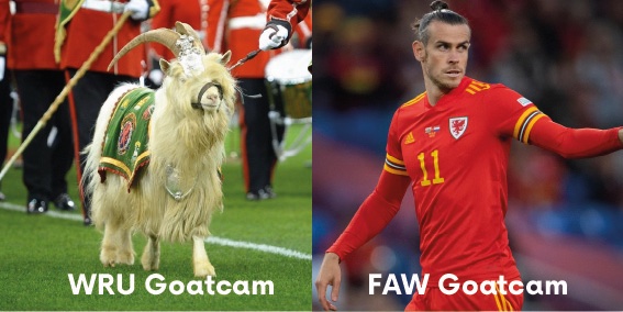 Goatcam v GOATcam

🐐