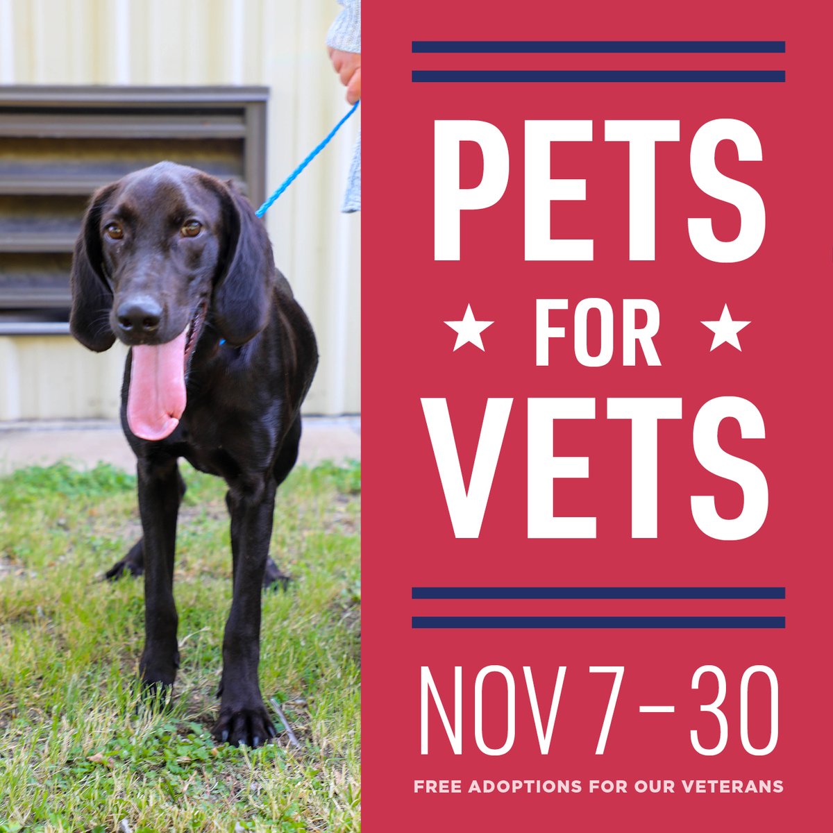 Temple Police Dept on Twitter "PETS FOR VETS Starting today, all