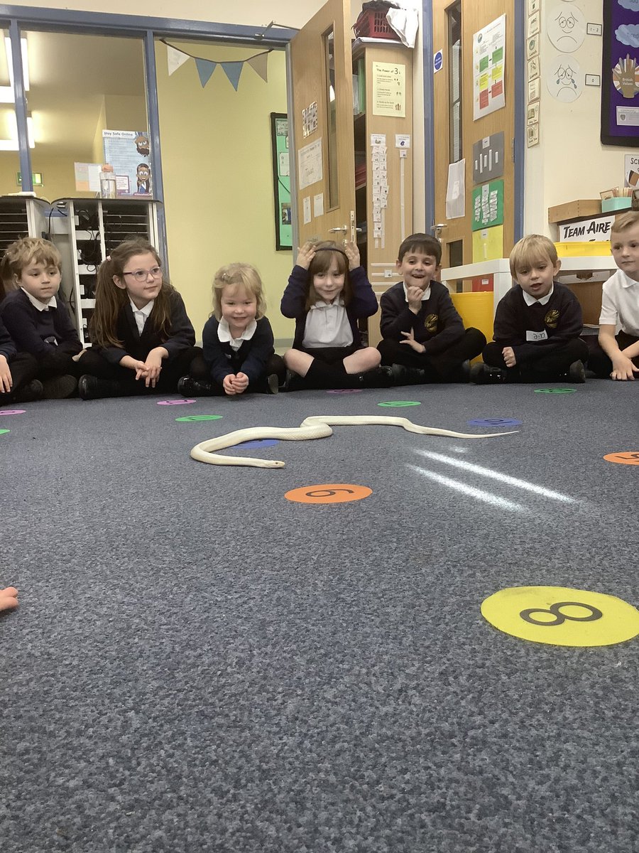 BandBschool's tweet photo. Noodle the Snake uses his tongue to smell. He likes to eat mice and birds! 🐍 #BandBAire #BandBSTEM @ZooLabUK @eboractrust https://t.co/vyyZ3GcVpr