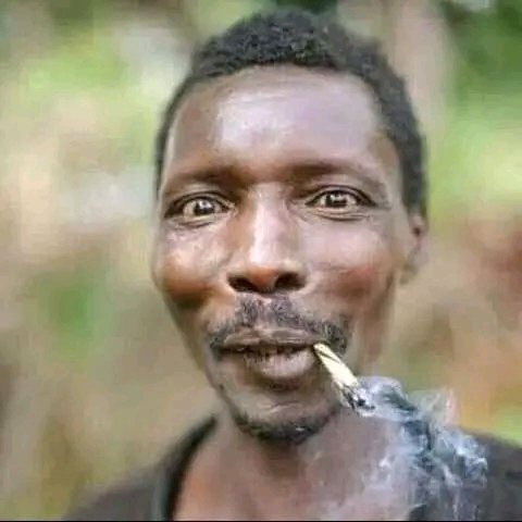 Dear Zimbos
Kuvenga nyika yako kusvikira watsamwira satellite🤣 tikwanire