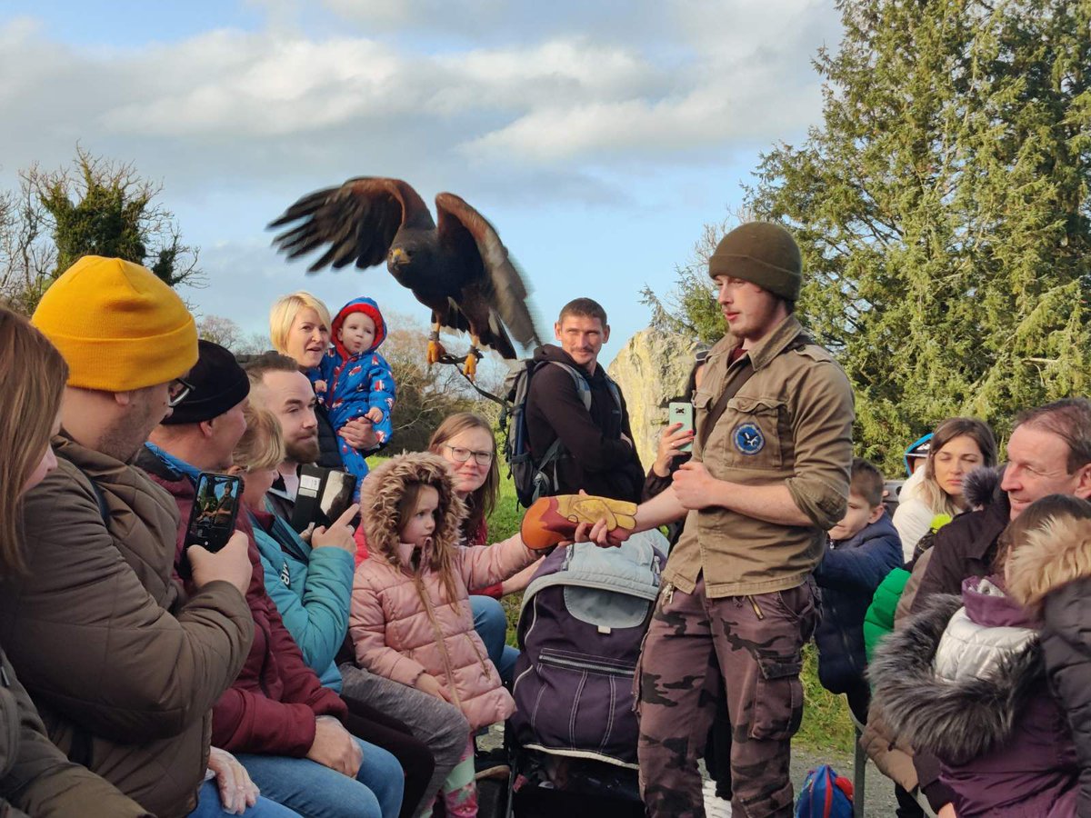 Our SICAP Intercultural staff were thrilled to organise an afternoon with Eagles Flying which saw families from new communities in Sligo come together and enjoy magnificent hawks, owls, a flight show and a petting zoo. As you can see from the pictures - a great time was had!