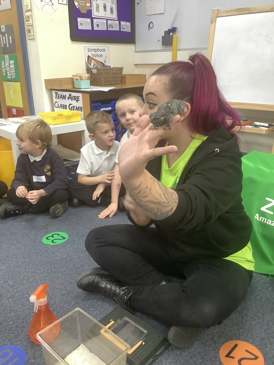 BandBschool's tweet photo. Splat the frog 🐸 uses his eyes to help him swallow! #BandBAire #BandBSTEM @ZooLabUK @eboractrust https://t.co/OowcEp3ZAT