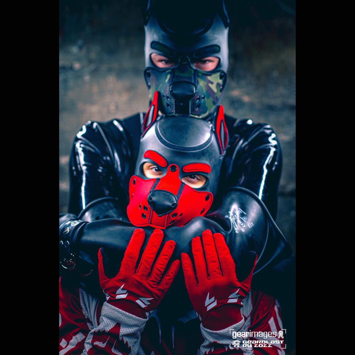 Caught in the dungeon 
.
📸: <a href="/GEARimages/">GEARimages | NFC 2023</a> 
⚫️: <a href="/Speedy__Fox/">Speedy_Fox 🦊</a> 
🔴: @thekeefboy 
⚙️ <a href="/GearBlastEU/">GearBlast:EU</a> 
.
.
.
#fetishgear #rubberkink #fetishphotography #gaypuppy #gayberlin #fetishgay #puppyplaygermany #latexpup #gayleather #rubbergay #rubbergear  #gaytwink #puppyplay #guysngear #humanpup