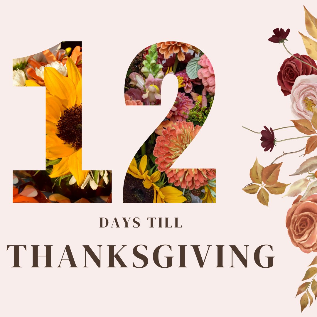 Today, we're grateful for progress at Riverview Park! The concrete has been poured, and above-ground spray features for the splash pad began last week. 

What are you thankful for today?