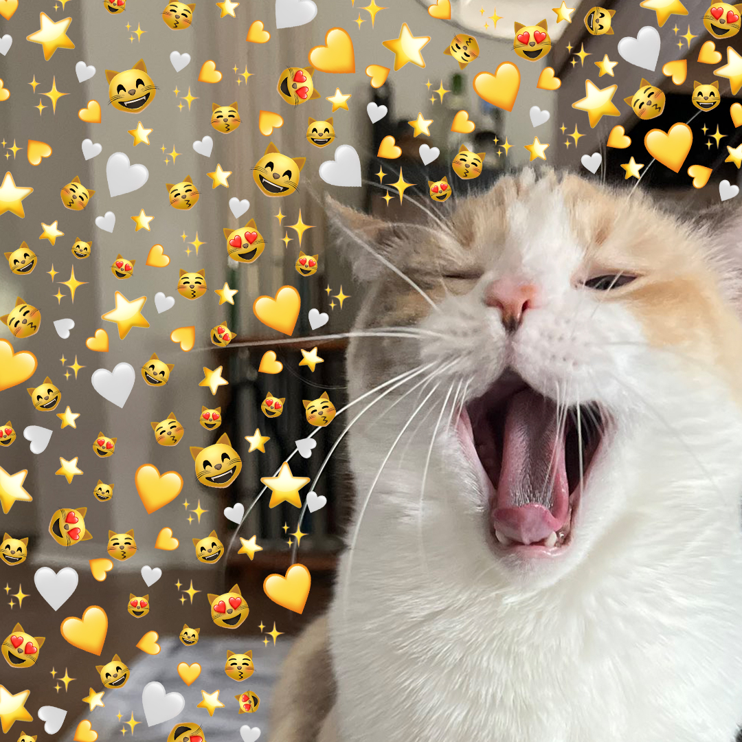 rt to spread some love