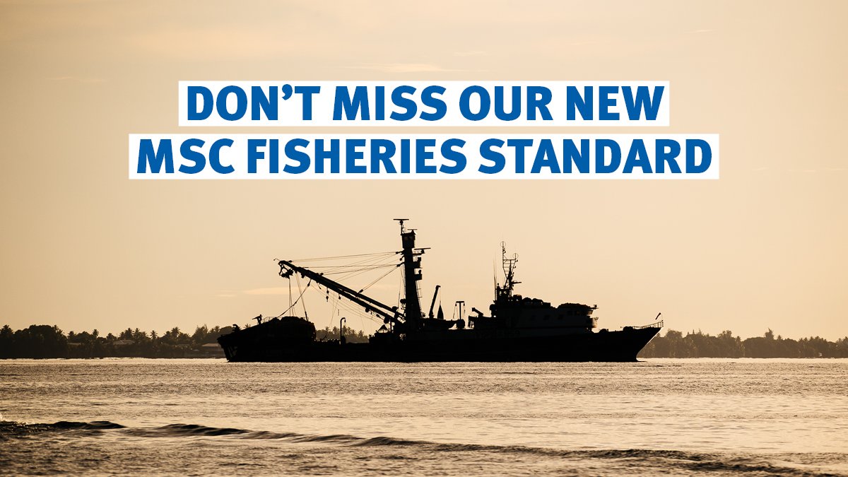 📝We published our new MSC Fisheries Standard recently. 

After more than 4 intensive years of research, stakeholder consultation &amp; independent analysis of fisheries management, we’ve made some significant improvements. 

Find out more➡️ bit.ly/MSCfs3 #MSCstandard