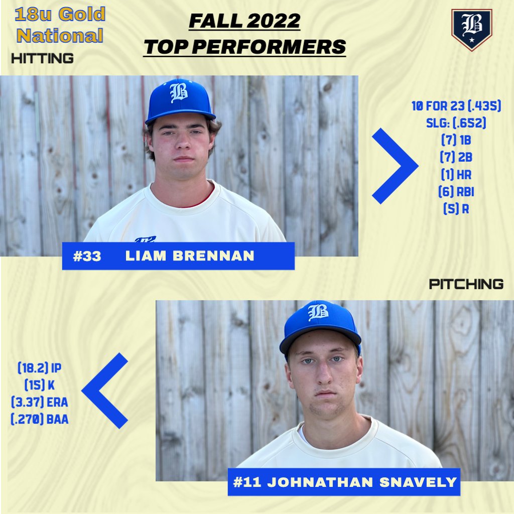 Blizzard Baseball tweet media