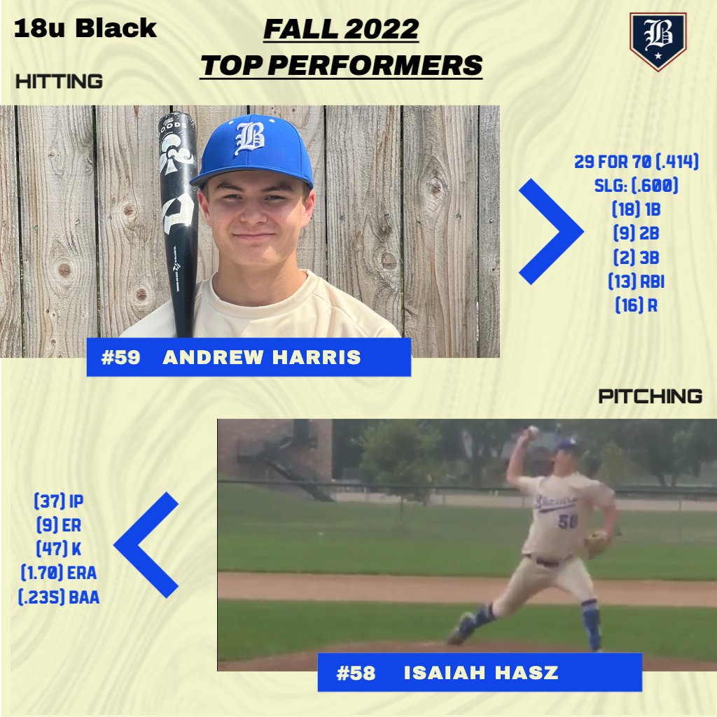 Blizzard Baseball tweet media