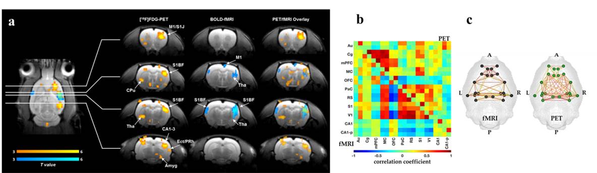 Herfert_lab's tweet photo. 📣Please retweet: We have an open Ph.D. position to join our team working on simultaneous PET/fMRI in rats. If you are interested, see: https://t.co/URvCS1GW0l https://t.co/4YWXComynH