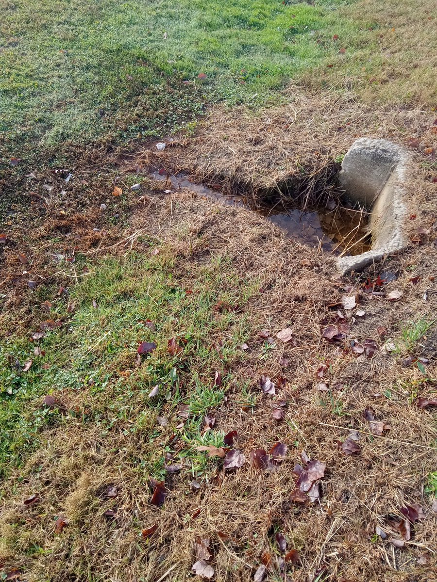 Tara Wodzicki tweet media