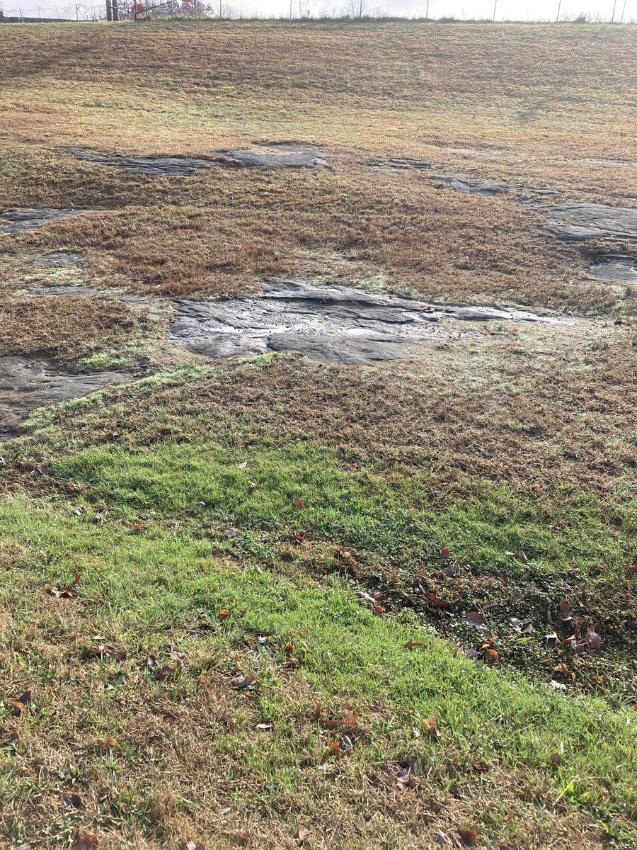 Tara Wodzicki tweet media