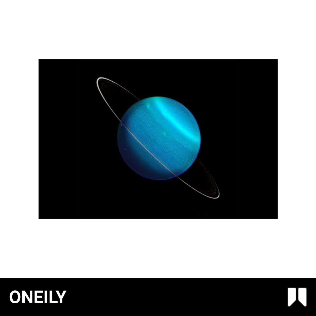 Oneily Facts tweet media