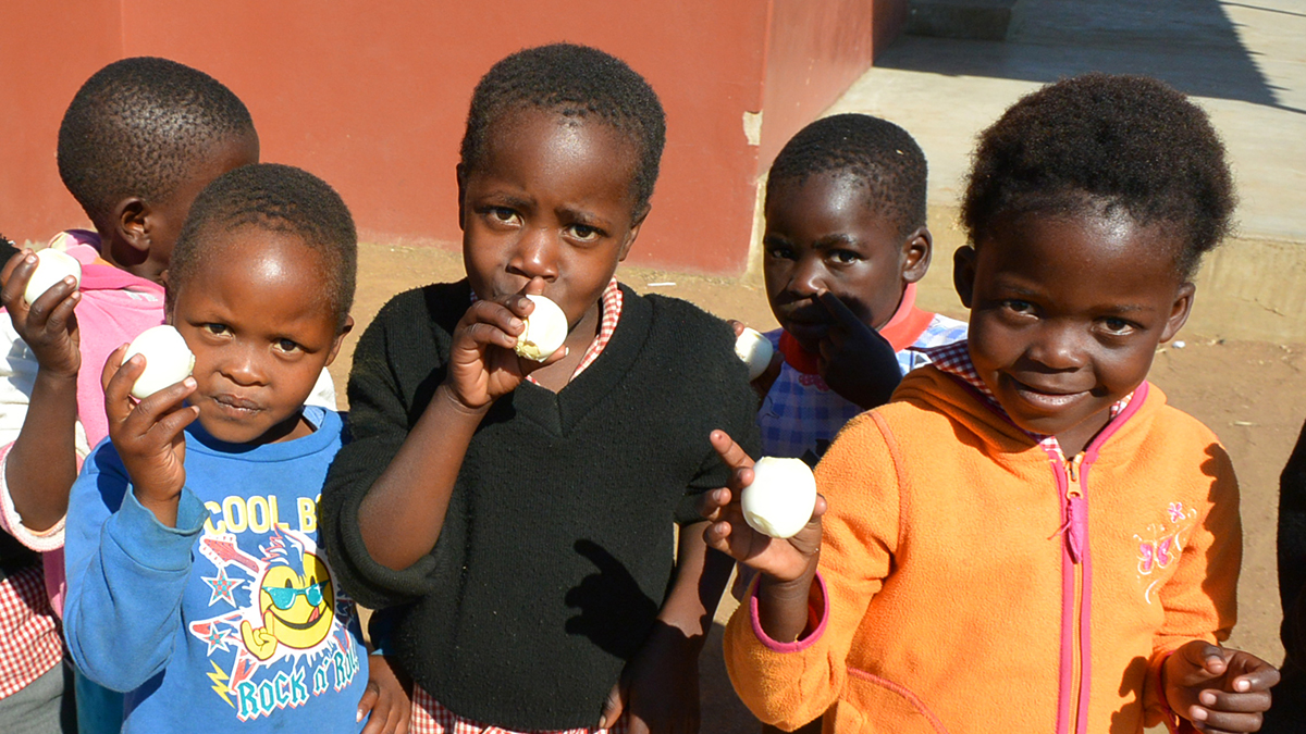 Canadian egg farmers have been #CrackingHunger for more than seven years with @HeartForAfrica. Learn how the humble egg is benefiting vulnerable children in Eswatini:  bit.ly/3GwU7Dc