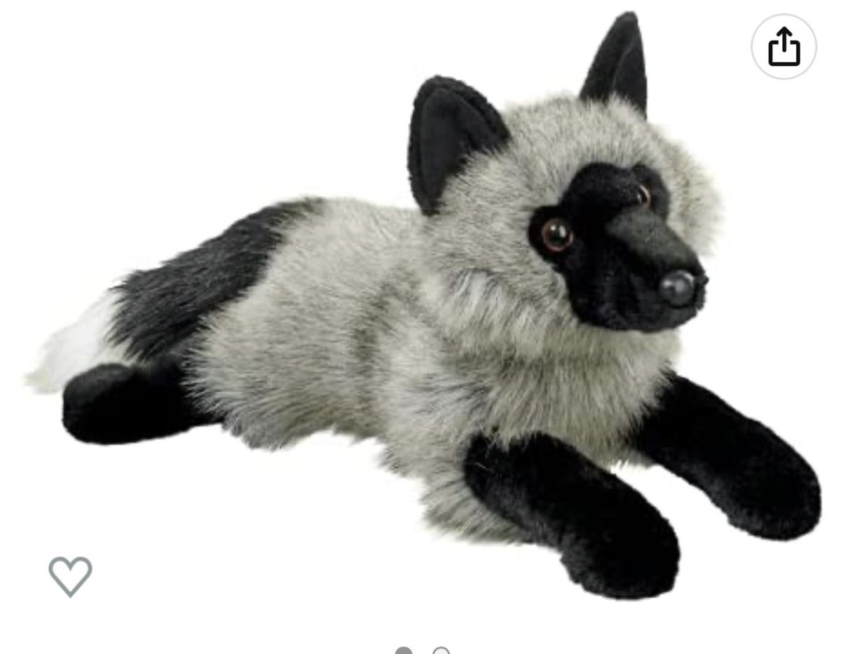 ShottsyArts's tweet photo. My mom got me this adorable silver Fox at the zoo yesterday but I can’t think of the right name. Help give me suggestions! #furry #foxplush https://t.co/MCvMCPucco