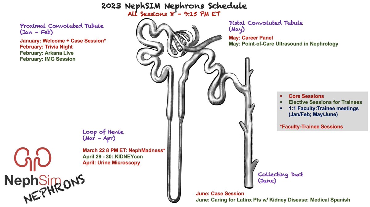 ssfarouk's tweet photo. 1/🚨 Medical students &amp; residents who want to learn more about #nephrology &amp; join our community 🚨

Applications are open for the 2023 #NephSIM Nephrons 6-month Virtual Mentoring Program 

https://t.co/LRjLDxL2jf

Why should you apply by 11/30? A brief 🧵

#NephJC #KidneyWk https://t.co/DoKPzChB3V