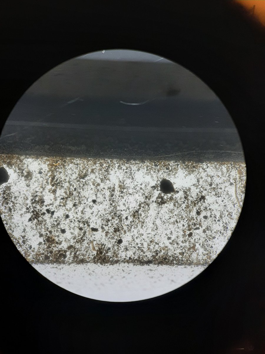 Let's play... spot the (dead) #Bosmina.
**BALLAST TANK HARD MODE**

Yes she is in there.