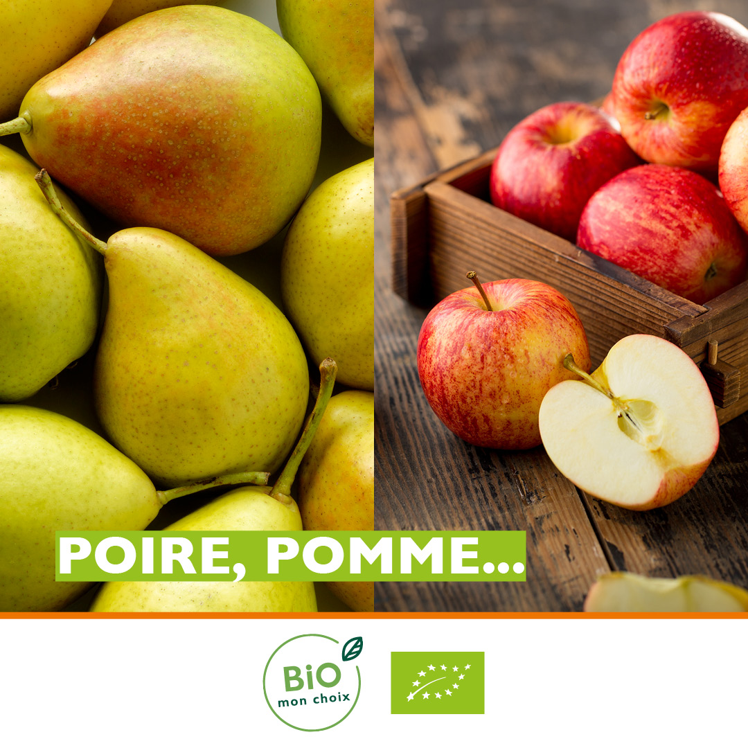 Biomonchoix's tweet photo. Chaque mois, nous vous proposons les #fruits et #légumes #bio de #saison. Voici ceux de novembre!
#biomonchoix #biologique  #durable #calendrier https://t.co/aExHjoVi8J