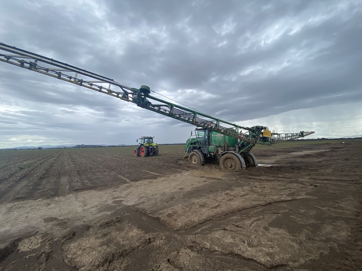 Andrew Watson tweet media