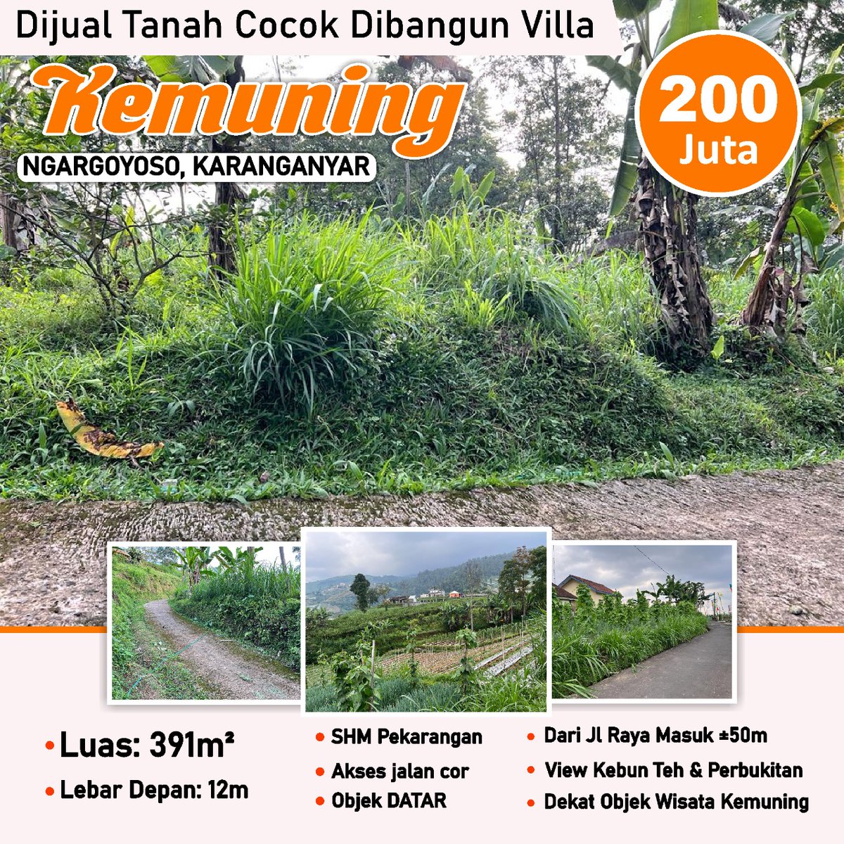 glondhorjaya's tweet photo. Dijual Tanah DATAR Cocok dibangun Villa/Homestay. 
#kemuning, Ngargoyoso, Karanganyar. View mempesona, udaranya pun segar sejuk khas pegunungan #lawu. 
Buat tabungan pensiun bagus ini. Atau buat rumah tempat healing waktu liburan. 

Coach @axdwin uni @zarazettirazr https://t.co/6ZGoYXdu9M
