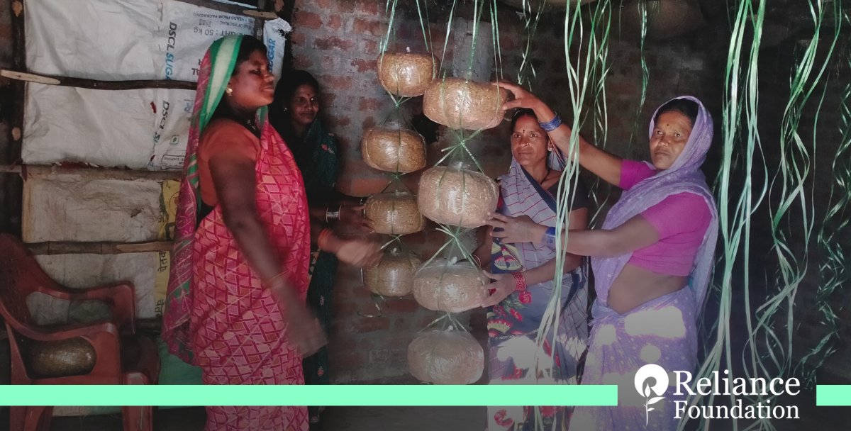 ril_foundation's tweet photo. Meet the women from MP's Mandla, who are cultivating mushrooms for an additional source of income. Supported by @ril_foundation &amp; partners like SARDA &amp; Samarpan Mahila Vikas Kendra, these women are setting examples of self-sufficiency. 

#RelianceFoundationTransformingLives https://t.co/MI5Jxudfx9