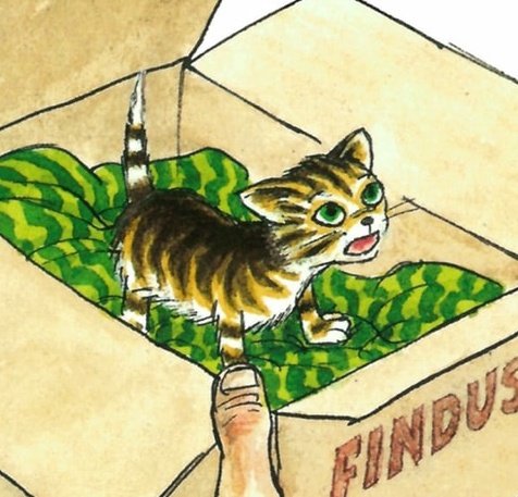 muerbimaddi's tweet image. no thoughts just baby findus