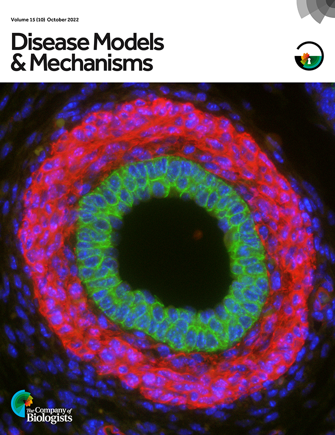 DMM_Journal's tweet photo. Check out our latest issue with:
🧪Editorial highlighting excellent #ResourceArticles
🐁#DMMPerspective from @jacksonlab about translatability in animal research
🎆Fantastic reviews on #Finnish genetic heritage #Parkinsons & #RAS in ageing
📘https://t.co/FenuV792r8
#OpenAccess https://t.co/zj1vujq92k