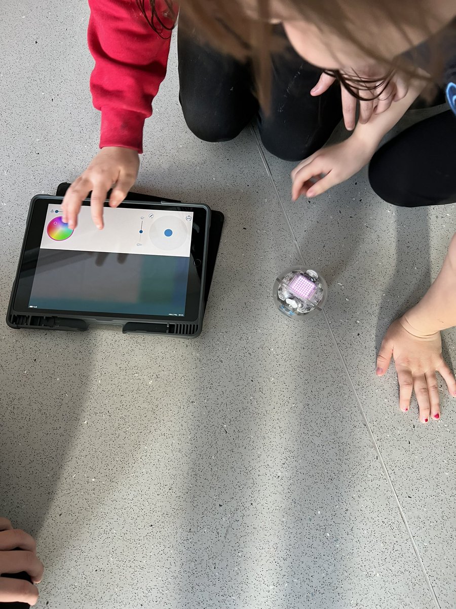 Park Primary School tweet media