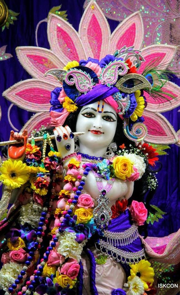 गोविंदा 💗