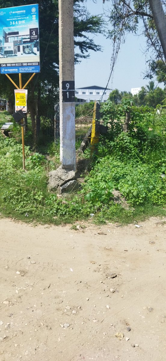 Amazing79468051's tweet photo. The pole was higly demaged at tiruppur, Rakkiyapalaiyam main road, amma palayam, Vetcare Pet Clinic nearly
Tiruppur District. 
@TANGEDCO_Offcl
https://t.co/zKYOBtwJ2q https://t.co/SrRYz4pEP5