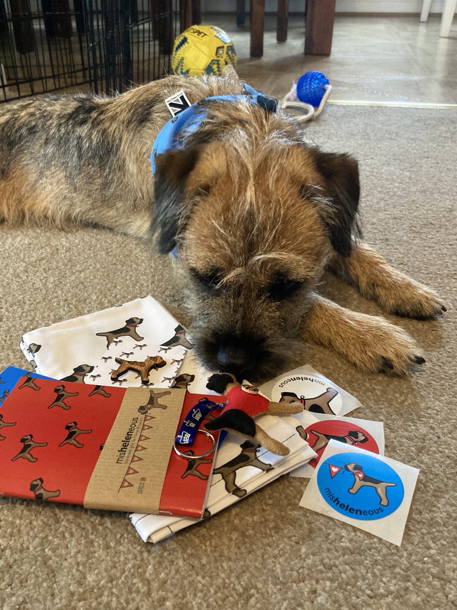 ZoeJDesign's tweet photo. Thank you @misheleneous! Gus loves his bandana. 🥰 https://t.co/IBTRt7O8vf