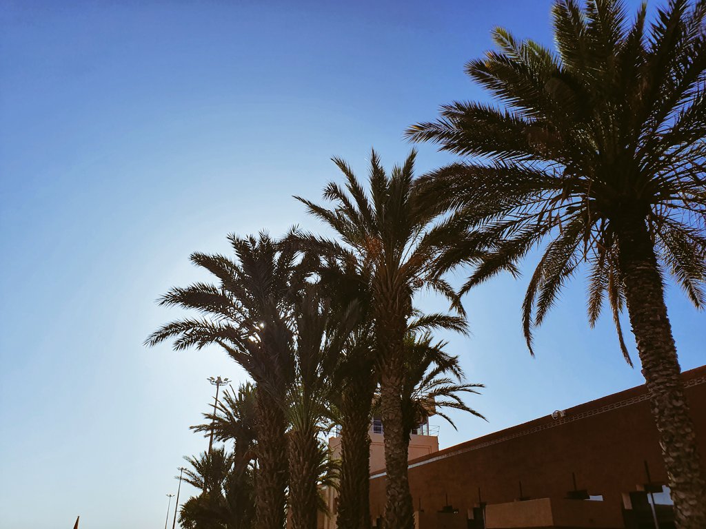 Training Provider tweet media