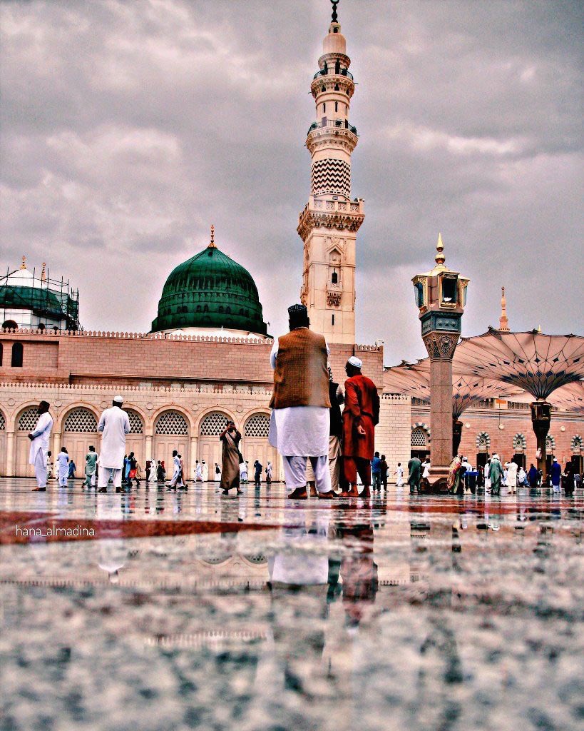 حسين ربيع اليامي tweet media