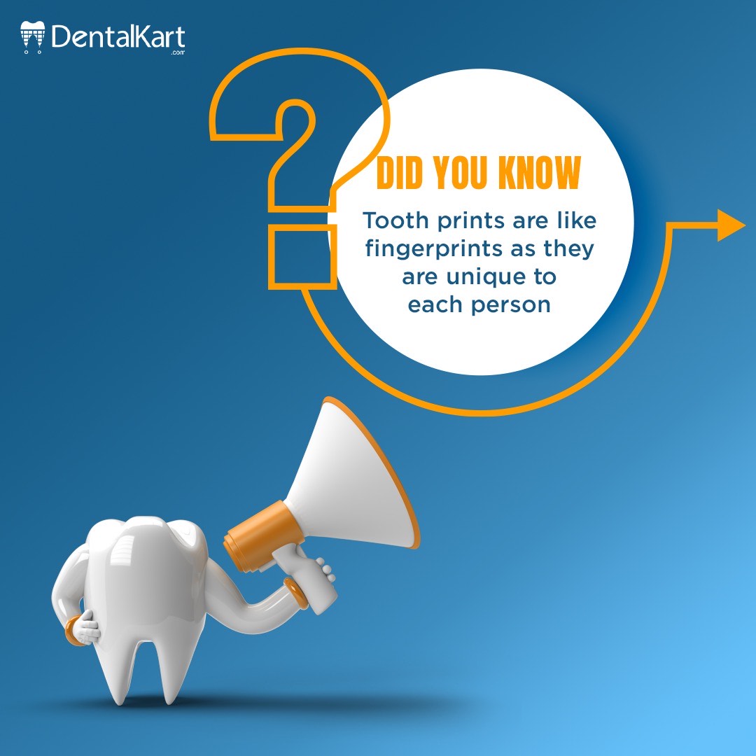 Dentalkart's tweet photo. Did You Know ?
#dentalkart #dentist #dental #fact #knowlodge 👍 https://t.co/1iPxPbyyOS