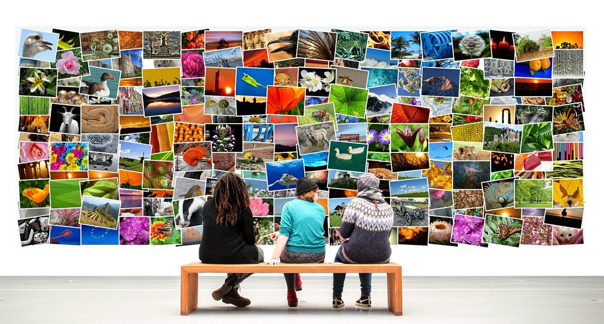 iWebUnlimited's tweet photo. Your old iWeb Photo Galleries can be easily imported into #EverWeb 3.9

Learn How here;

https://t.co/9aP6Bp1VeB https://t.co/Yrnu6omQDM