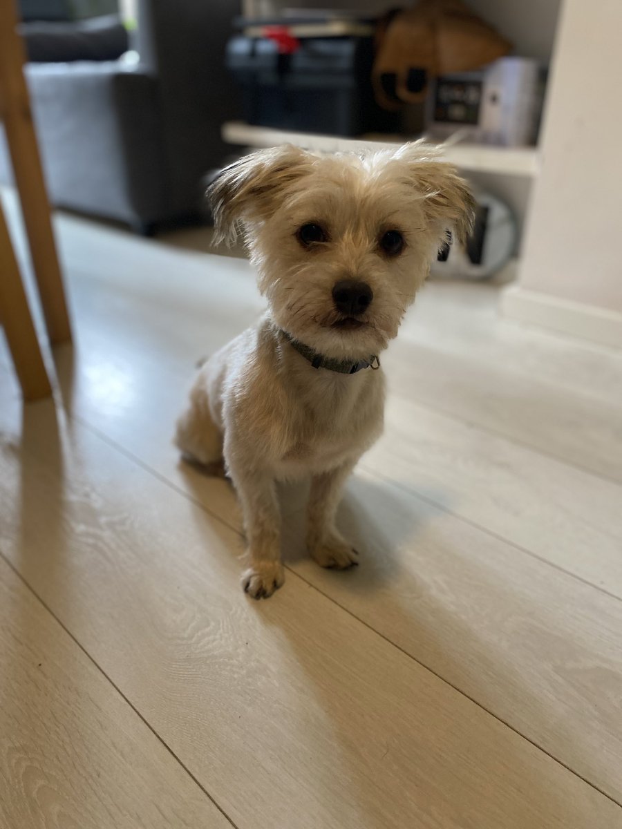 Waystar Rachco 🇮🇪🇵🇸🏳️‍⚧️ tweet media