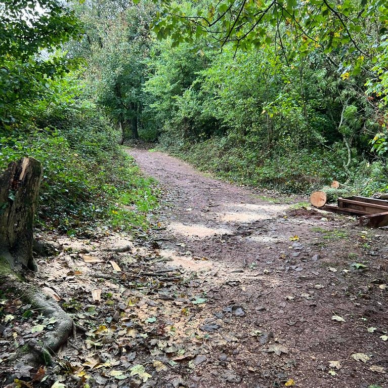 TorCoastCountry's tweet photo. Our rangers have been busy clearing many fallen trees after the recent high winds. We care for over 40 miles of pathway right across Torbay and work hard to keep these open and safe for all.
#treeclearance #footpathmaintenance #countrysiderangers https://t.co/HO9LS1K69W