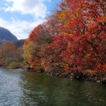 十和田八幡平の里（秋田県旅館組合「鹿角支部」）のツイート画像