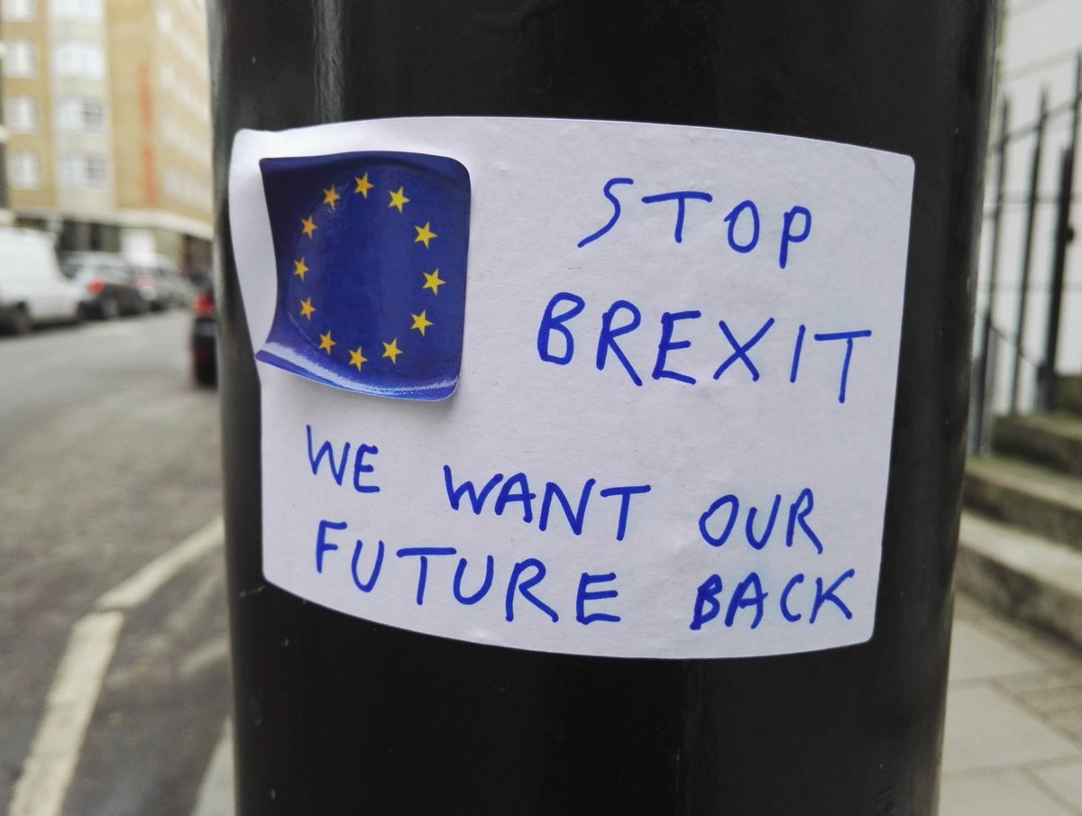 Littlewisehen tweet media