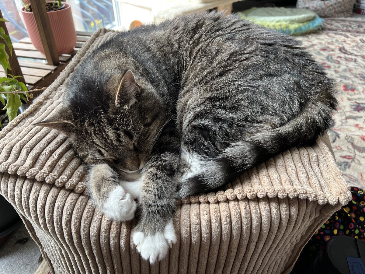 My job today is to stick close to the CO who is resting an injured shoulder. The pouf provides the perfect spot to watch her and get a morning nap.