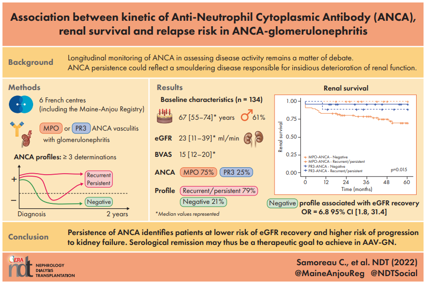NDTsocial's tweet photo. Association between kinetic of anti-neutrophil cytoplasmic antibody, renal survival and relapse risk in ANCA-glomerulonephritis  
➡️ANCA kinetics may help identify patients with a smouldering disease
Read more here👇
📖https://t.co/todltXwHbo
@MaineAnjouReg https://t.co/XGSc16siFb