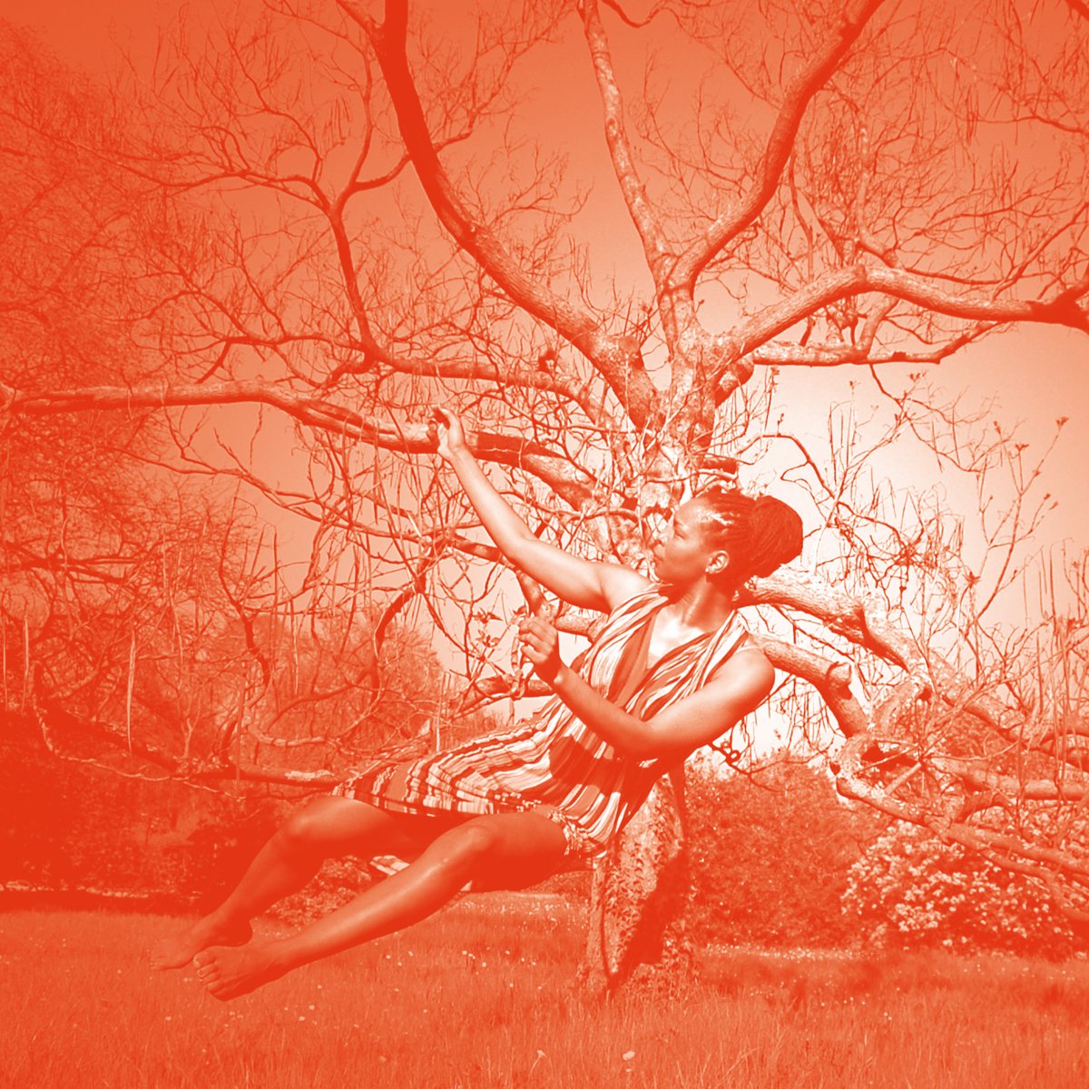 💃🏾La Compagnie IN lance sa résidence en <a href="/CouloPaysdeBrie/">Coulommiers Pays de Brie Agglomération</a>

Projet de danse urbaine et contemporaine "In Beetween" interroge sur la relation corps-espace et les relations à la nature. 🍃

#Résidenceartistique #danse #Artiste #Seineetmarne