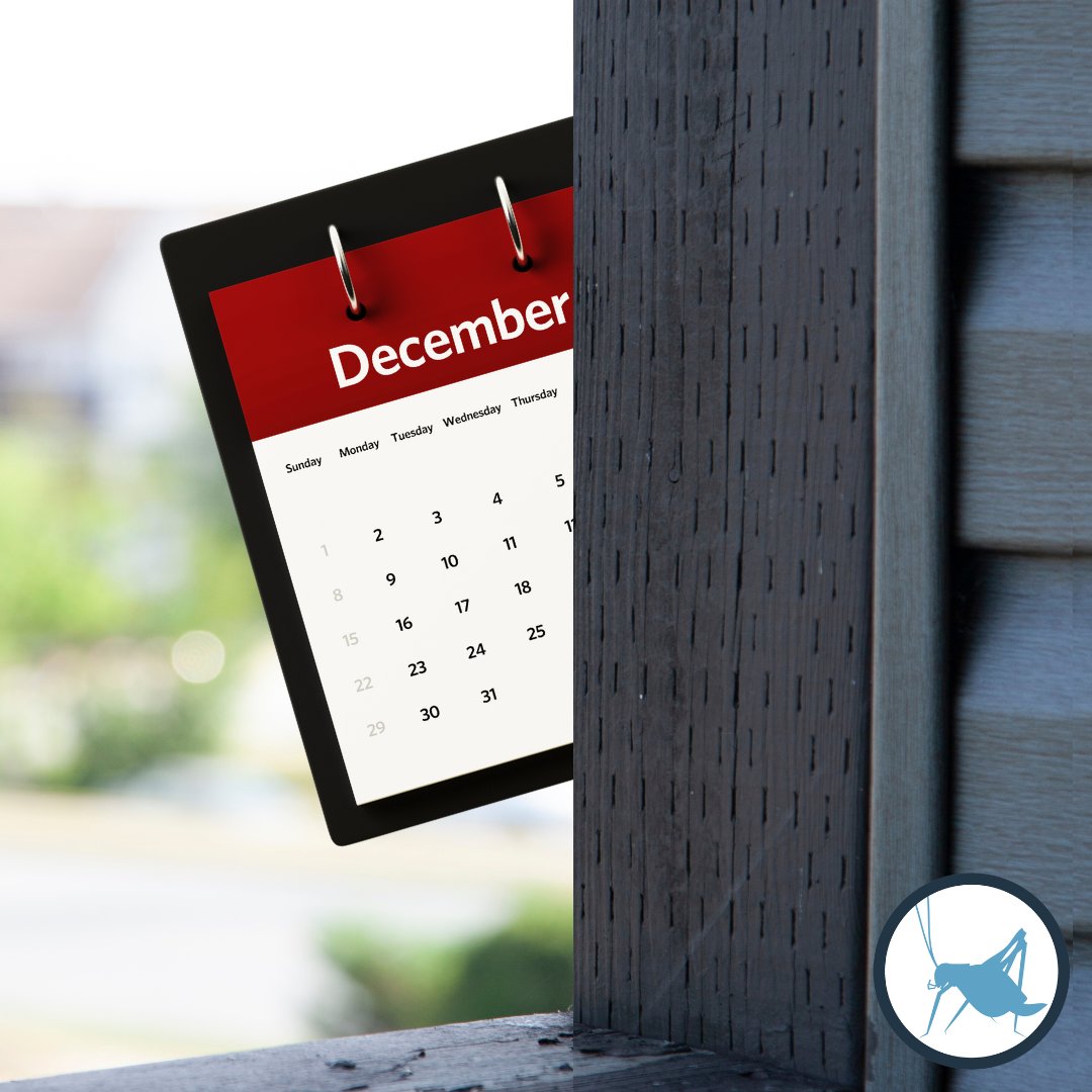 GetBlueCricket's tweet photo. Yes, this can be a very stressful time of year, but it doesn't have to be! Here are some tips to help you tackle everything you have on your plate this season!

💡 Make lists
💡 Budget your time and money
💡 Delegate

Here's to having a peaceful #holidayseason!
#TeamBlue https://t.co/21hAHiW3yx